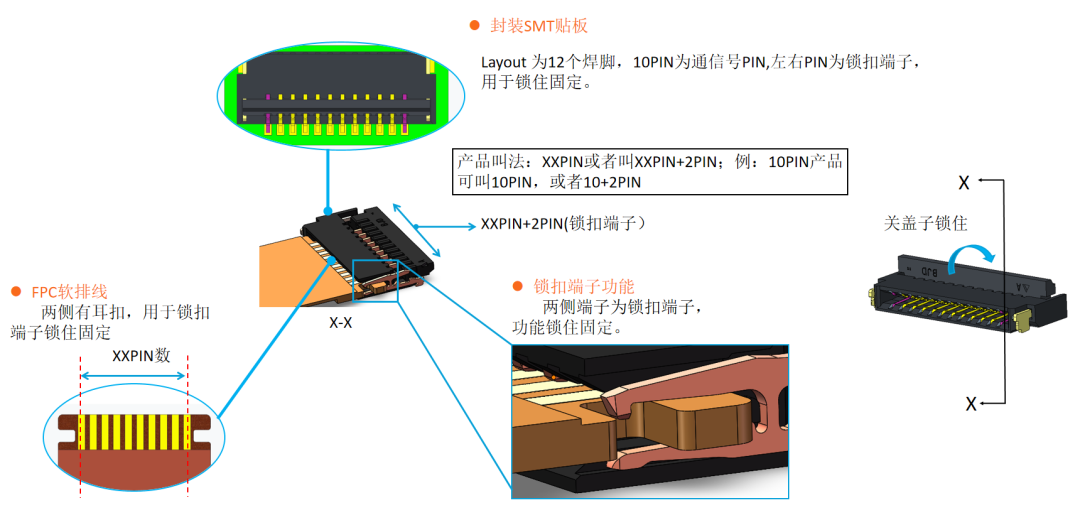 FPC0.5-31 结构与锁扣端子说明